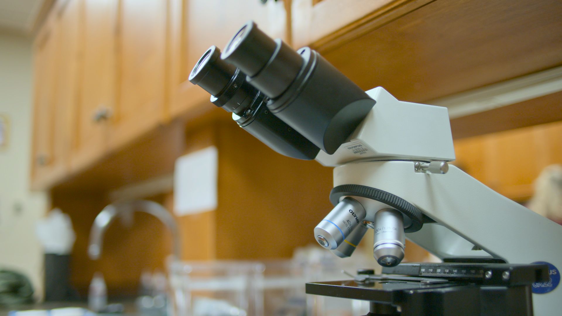 Regenerative Medicine